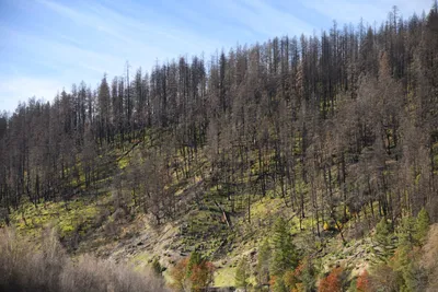 DSC_0254 (Large).JPG